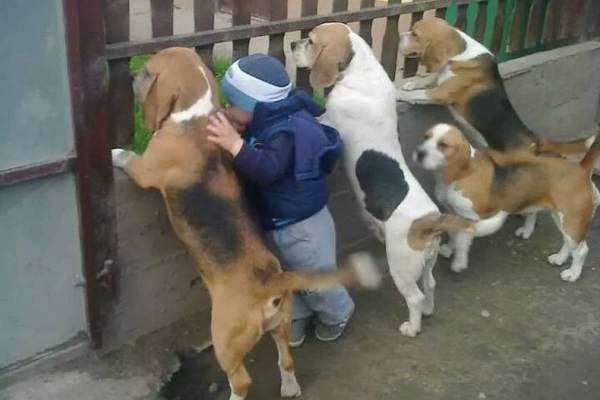 Un imbucato a...due zampe!