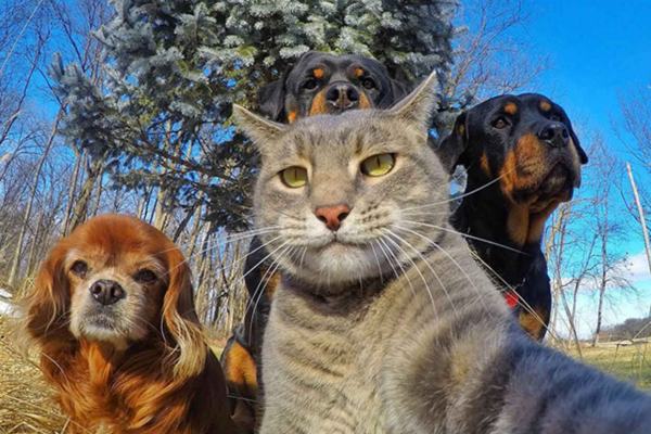 3...2...1...selfie!