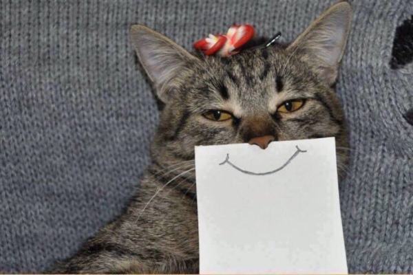 Sorrisi forzati