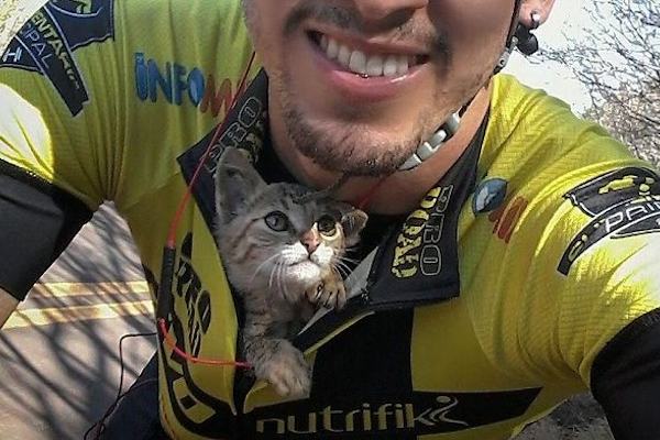 Il gatto in viaggio col ciclista