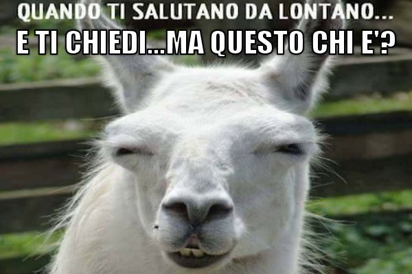 Messa a fuoco
