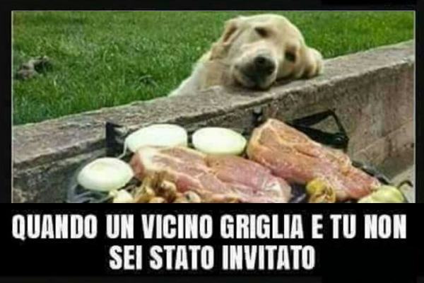 Profumino nelle vicinanze