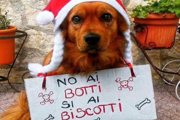 Biscotti di capodanno!