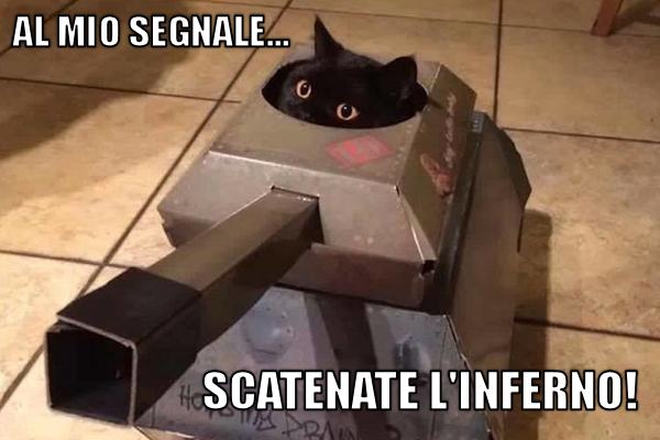 Il gattoarmato
