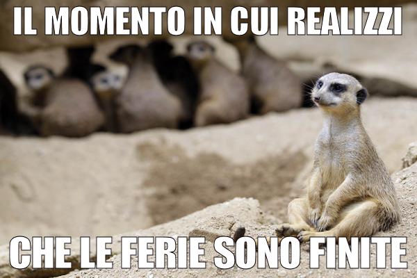 Ogni anno la stessa storia
