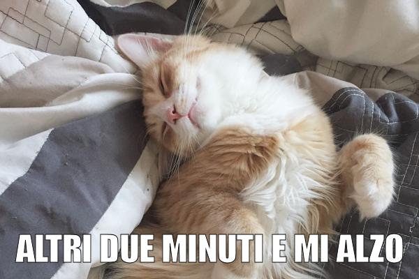 Il risveglio mattutino