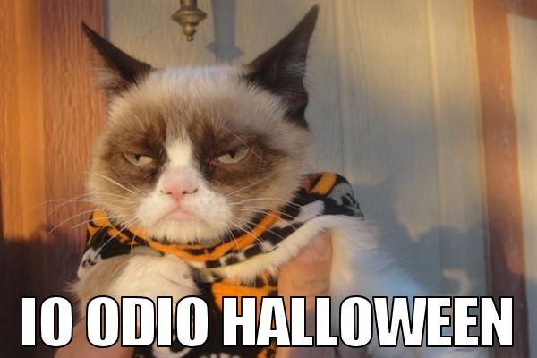 Halloween e i gatti