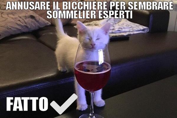 Darsi un tono