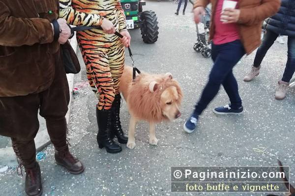 Un leone al Carnevale
