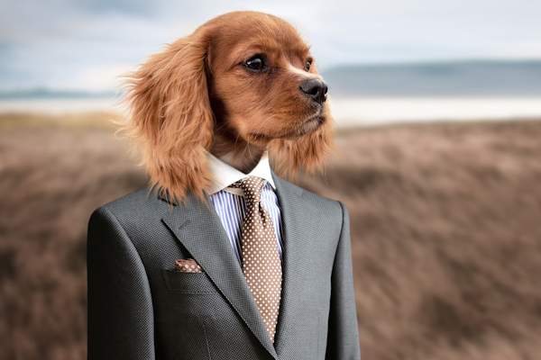 Un cane distinto