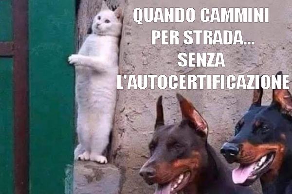 Quando occorre sgattaiolare