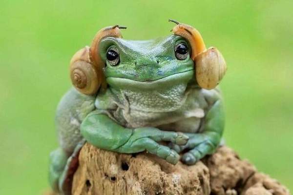Ti piacciono le mie nuove cuffie?