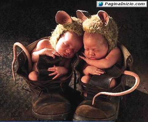 Topolini addormentati...
