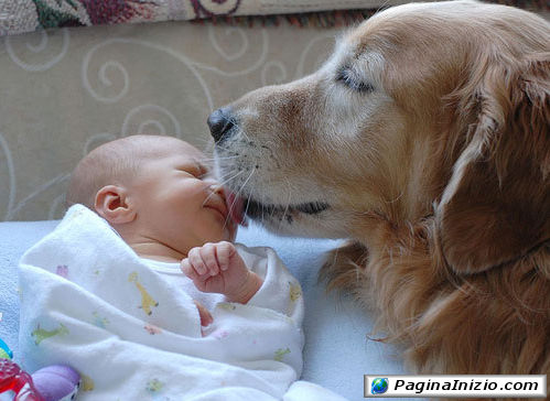 Dolce ninna nanna...