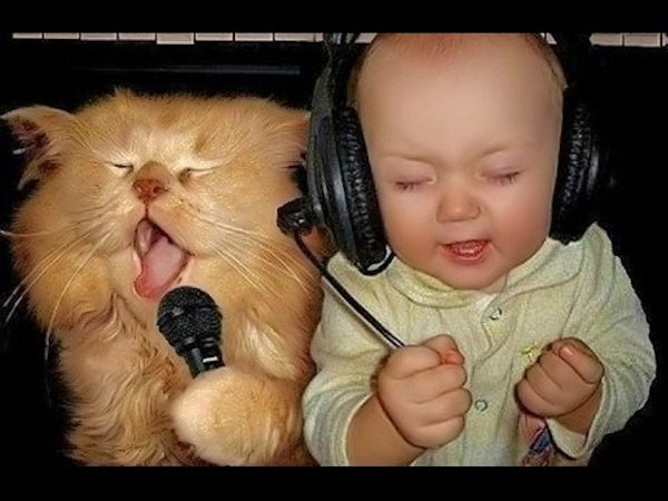 Don't stop me now