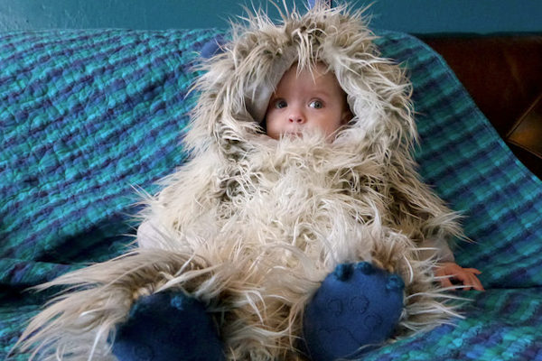 Un dolcissimo yeti