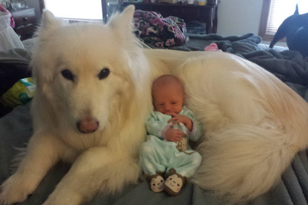 Un tenero baby sitter