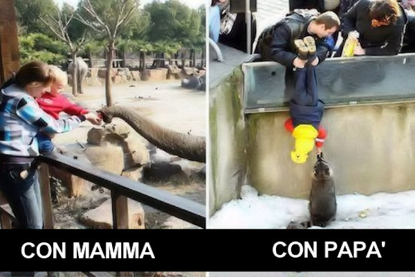 Visitare lo zoo