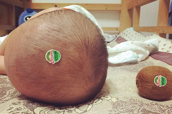 Cercare le differenze...