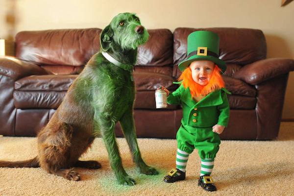 Baby Leprechaun