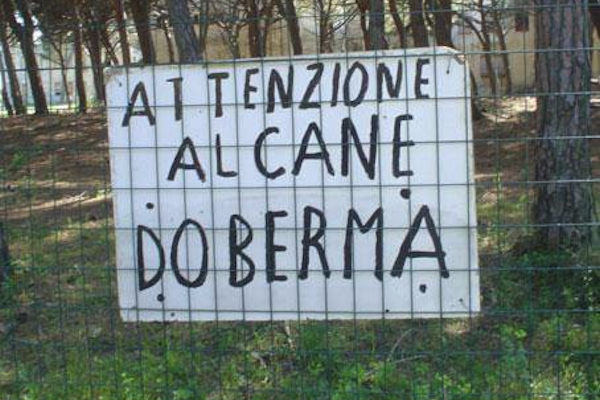 Razze di cane