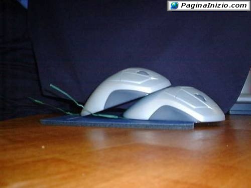 Mouse inseparabili