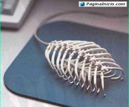 Un mouse in pensione!