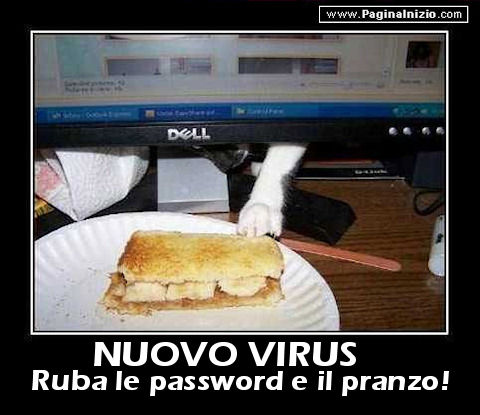 Nuovo virus...Attenzione, ruba anche il pranzo!