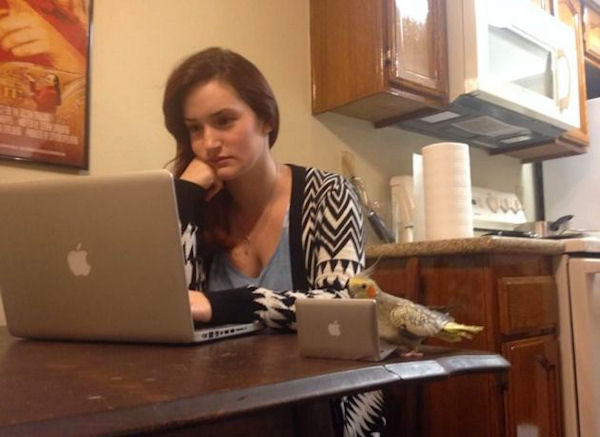 MacBook su misura