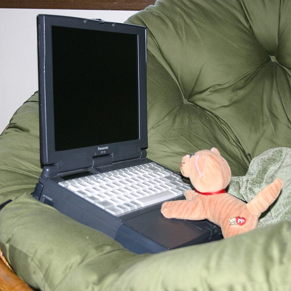 Il peluche informatico