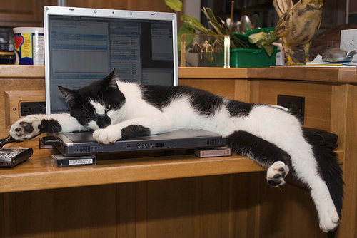 Relax al pc