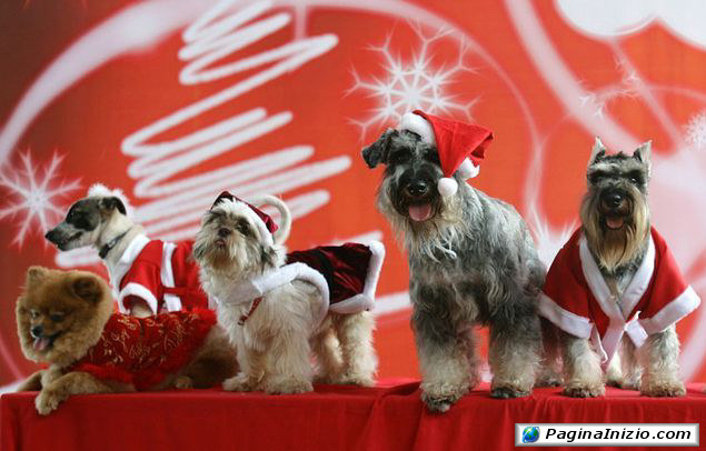 I nuovi aiutanti di Babbo Natale