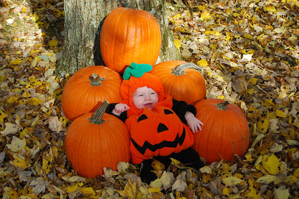 Una poltrona di zucca
