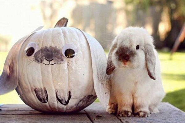 Mix tra Halloween e Pasqua