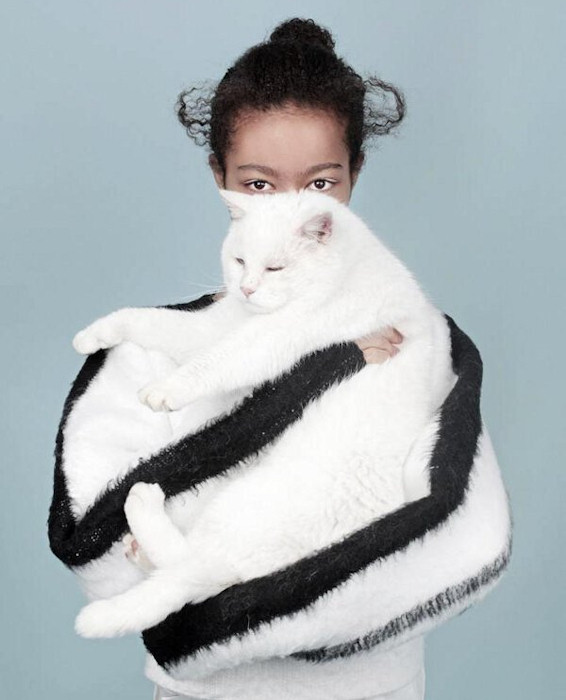 Gatto o maglione?