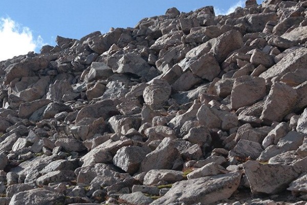 Dove si nasconde il montone?