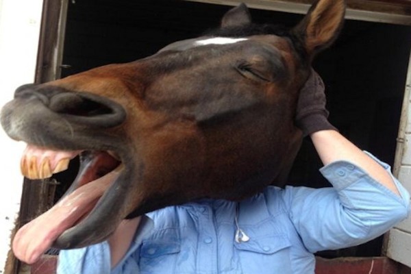 Cavallo in testa!