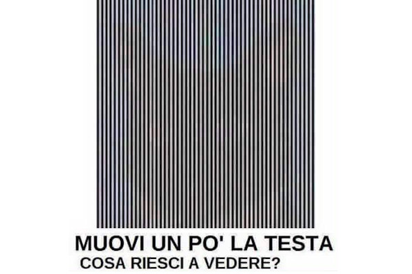 Scopri l'immagine nascosta!