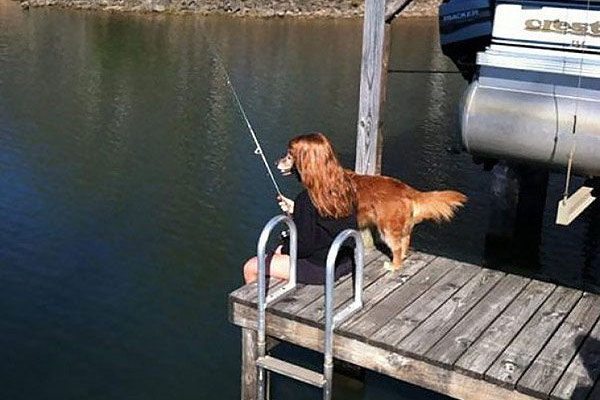 Il cane pescatore