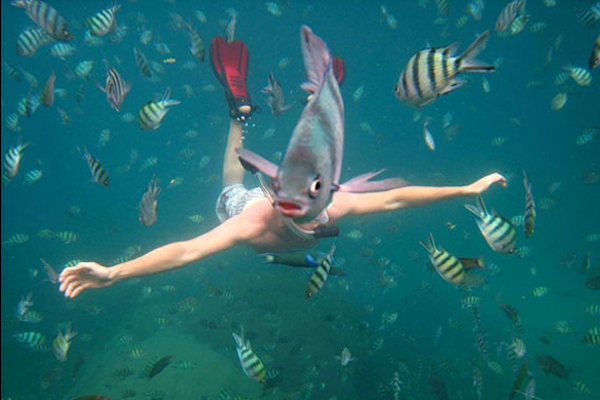 Sub con testa di pesce