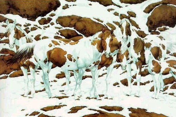 Paesaggio innevato