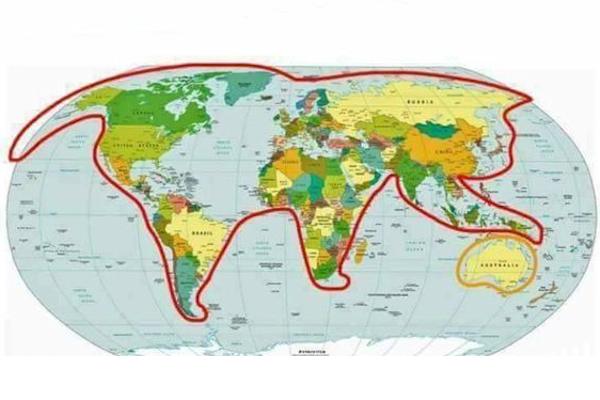 Il mondo è un gatto