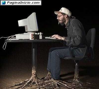 Mettere le radici a lavoro...