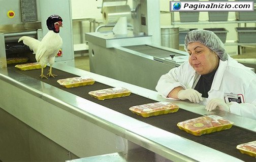 Un prodotto freschissimo!