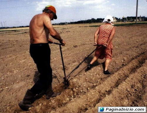 Lavoro nei campi