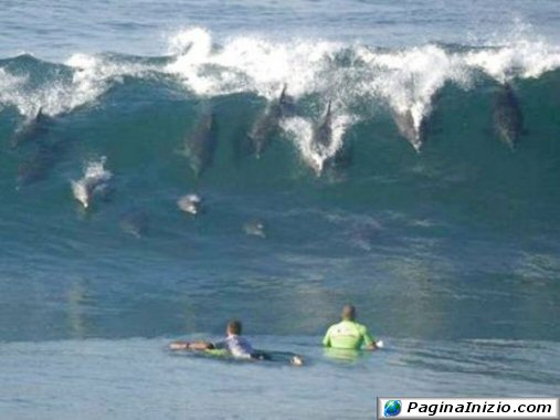 Surfisti invadenti!