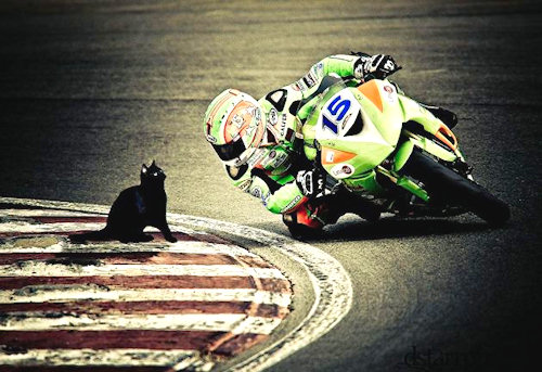 Incontri...sfigatti!