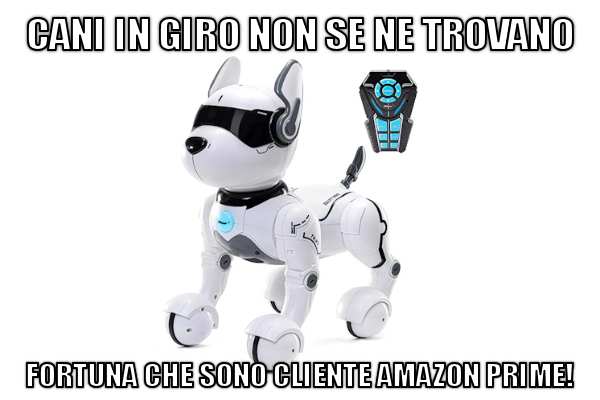 Il cane che non si stanca di andare a passeggio