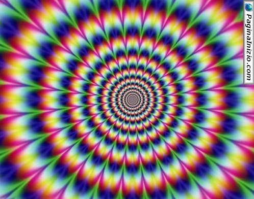 Un fiore in movimento