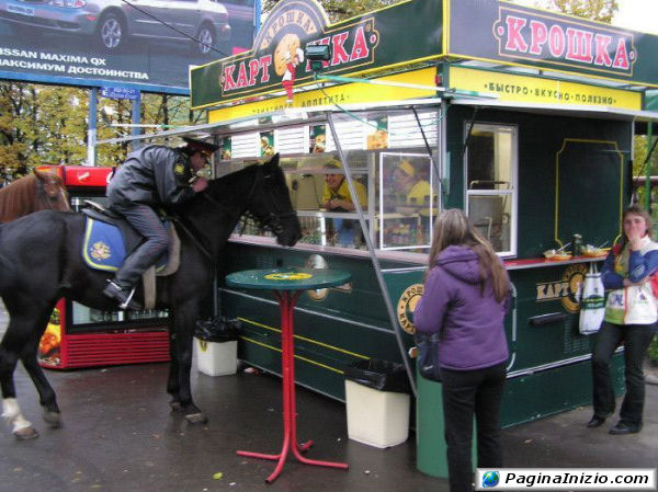 Pausa pranzo equestre